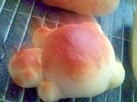 動物パン～たこ焼きカメｓａｎ～